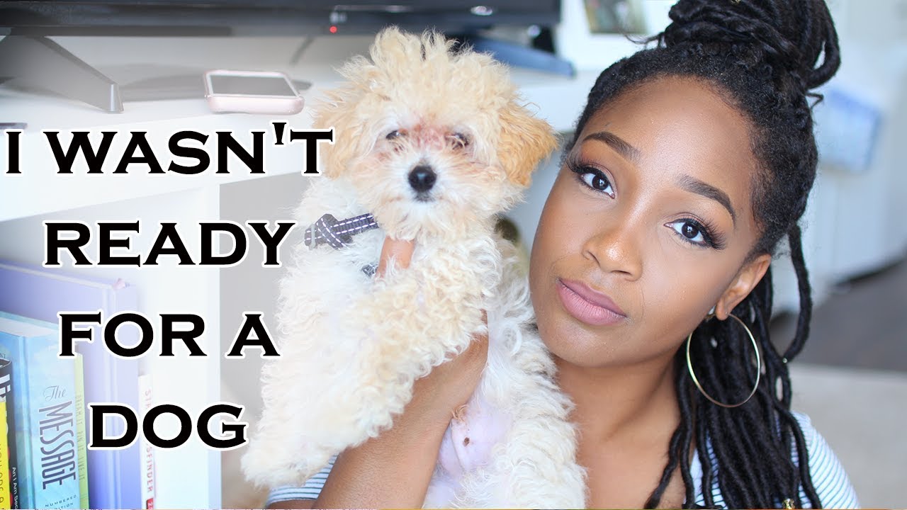 I Wasn’t Ready For a Dog | Tips for New Puppy Owners + New Puppy Must Haves | Entrepreneur Life