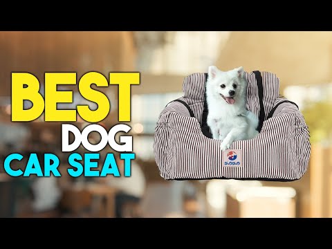 5 Best Car Seats for Dogs in 2021 Reviews