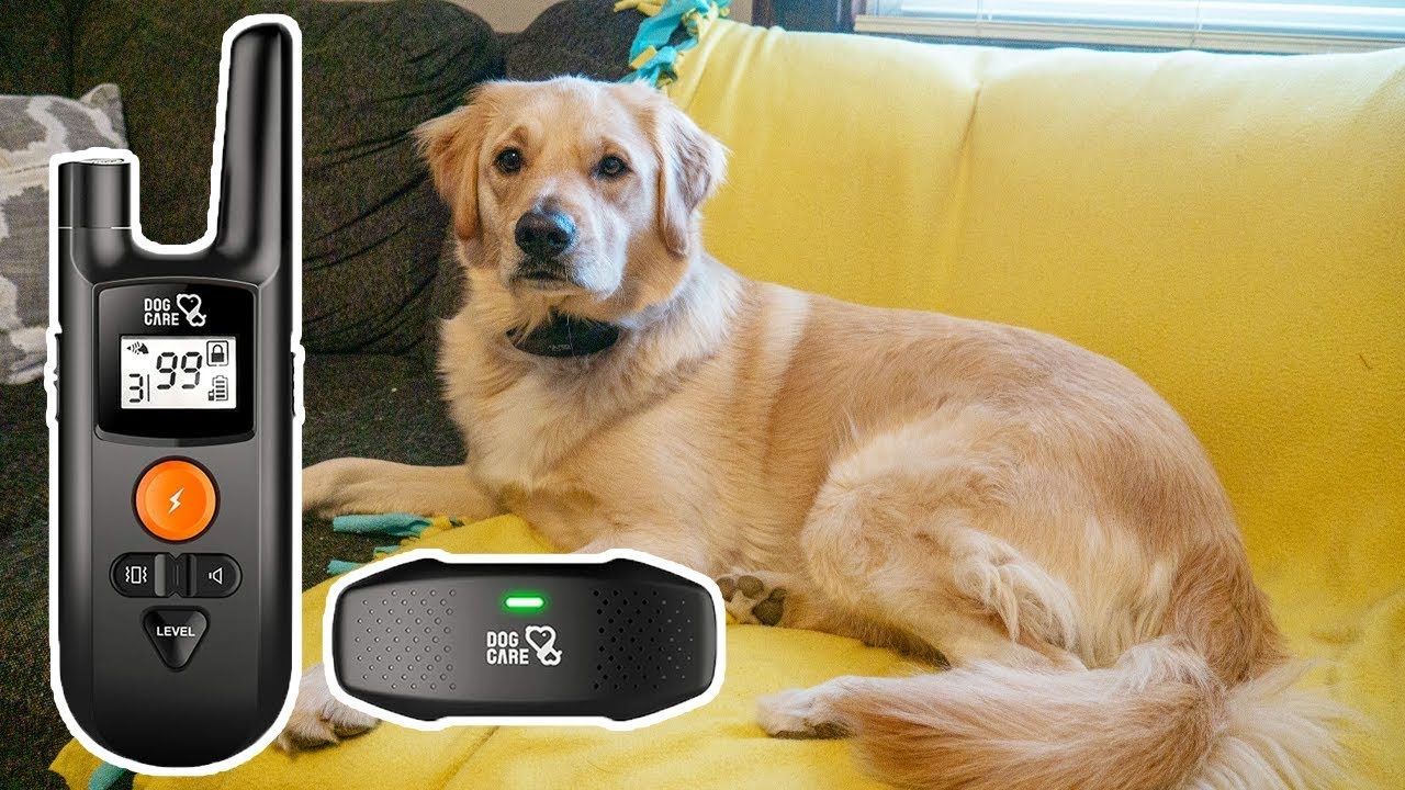 Dog Care Dog Shock Collar Review // Remote Dog Training Collar