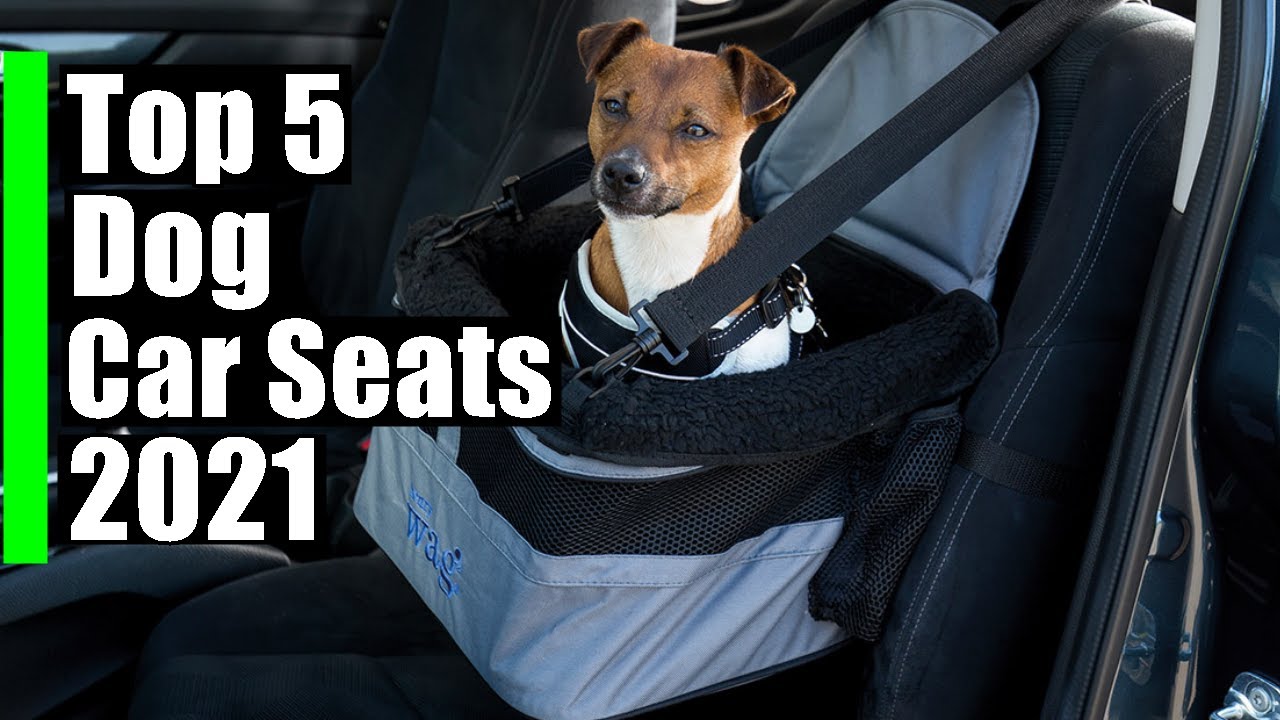 Best Dog Car Seats  | Top 5 Car seats for dogs 2021