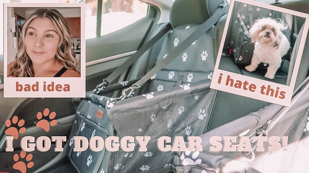 I BOUGHT DOG CAR SEATS, so you don’t have to! (Dog car seats, dog safety, dog travels)