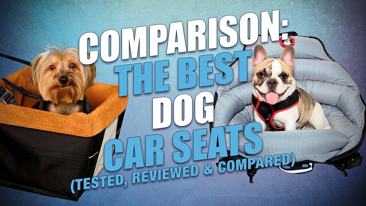 The Best Dog Car Seats (Tested & Compared)