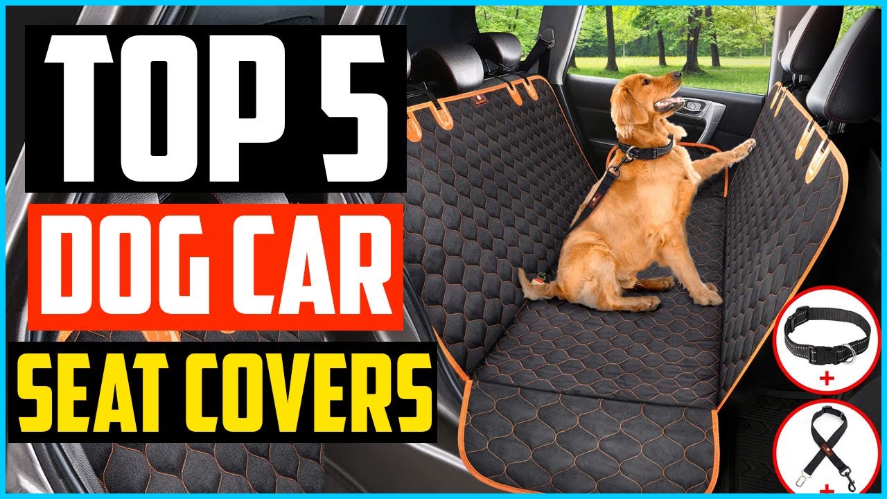 Top  5 Best Dog Car Seat Covers in 2021 Reviews