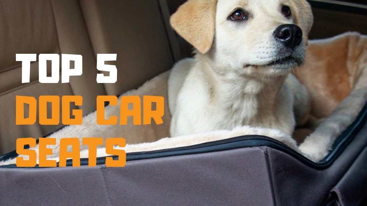 Best Dog Car Seat in 2019 – Top 5 Dog Car Seats Review