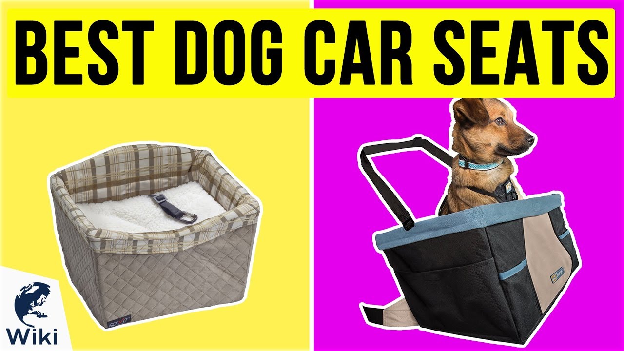 10 Best Dog Car Seats 2020