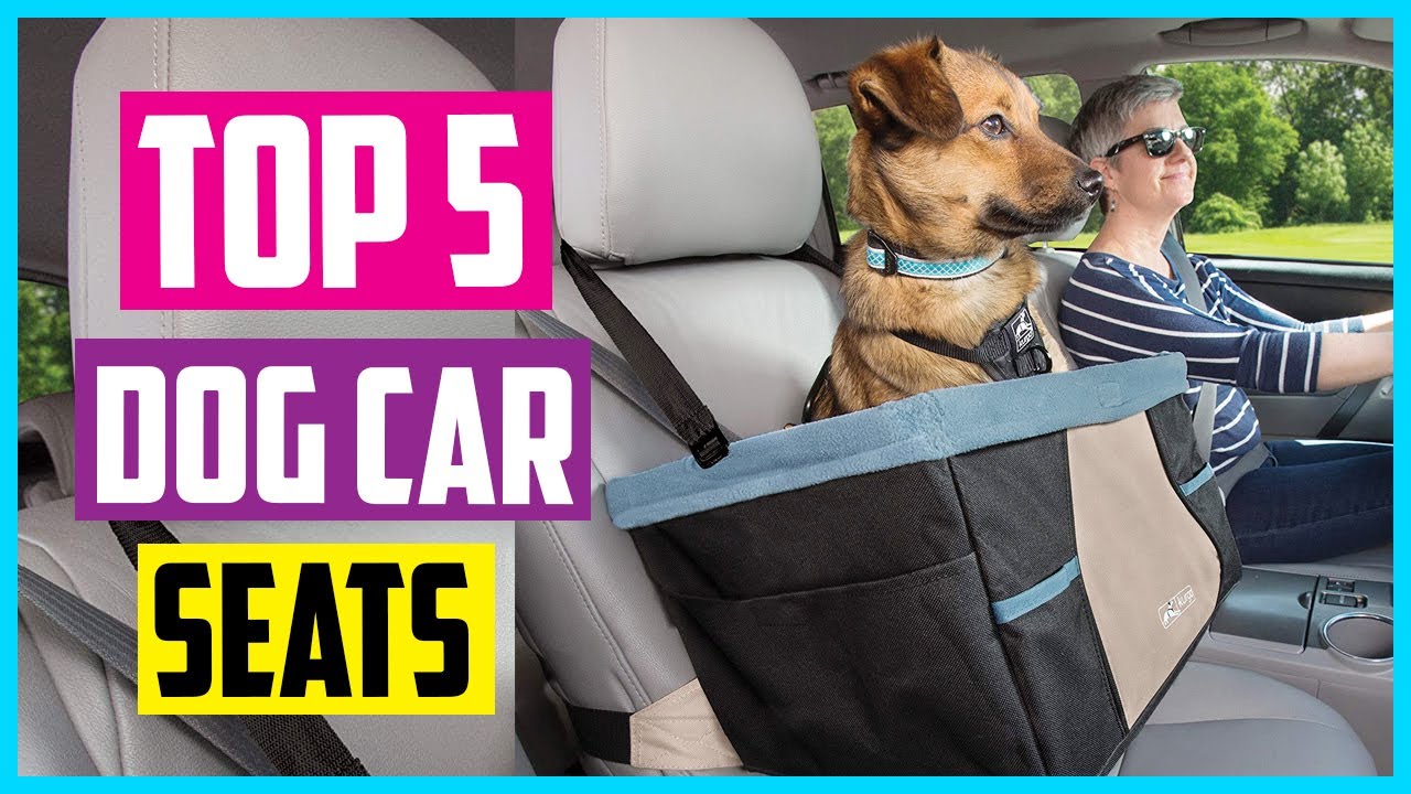 Top 5 Best Dog Car Seats In 2021  Review & Buyer’s Guides