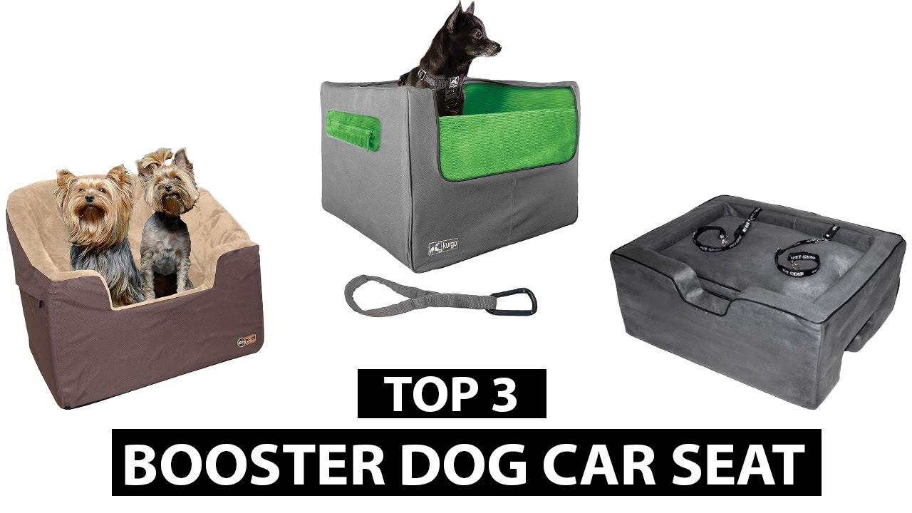 Best Dog Car Seat in 2021 – Top 3 Dog Car Seats Review || Pets Ben