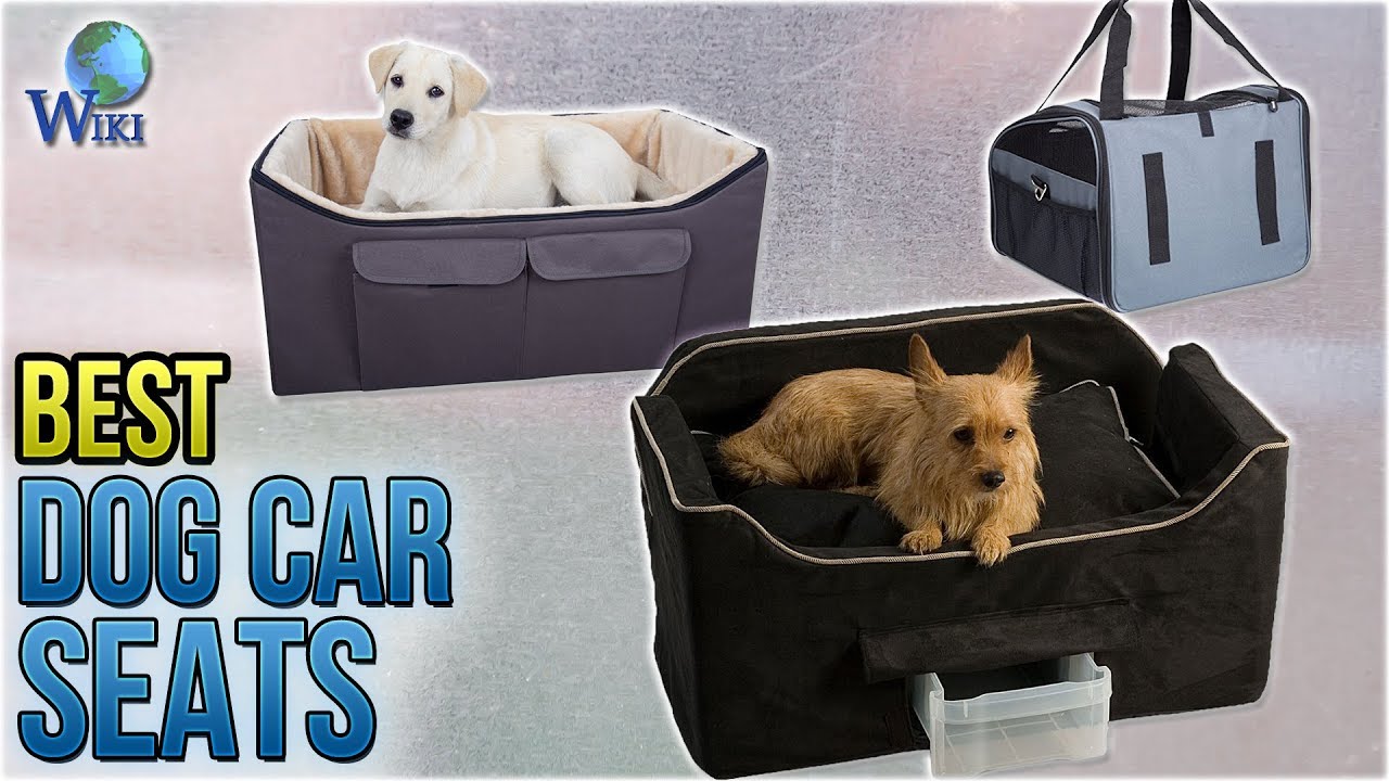 10 Best Dog Car Seats 2018