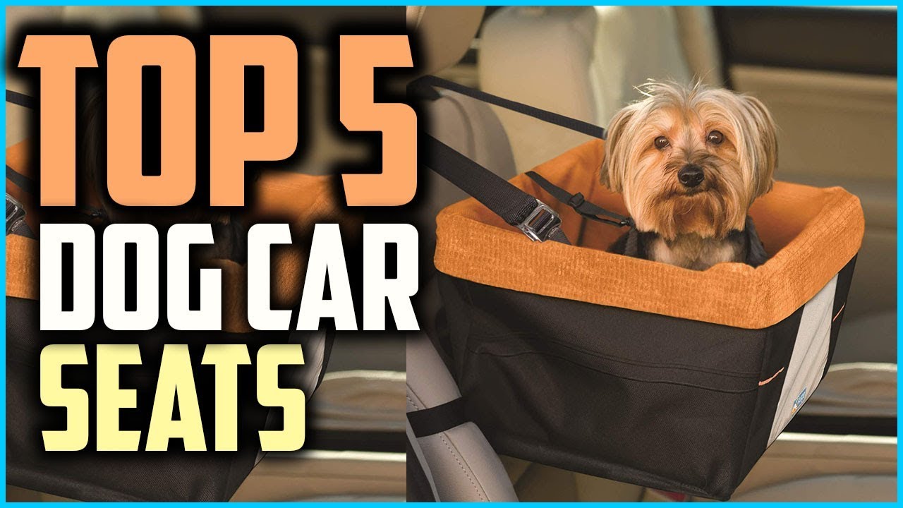 Top 5 Best Dog Car Seats In 2019