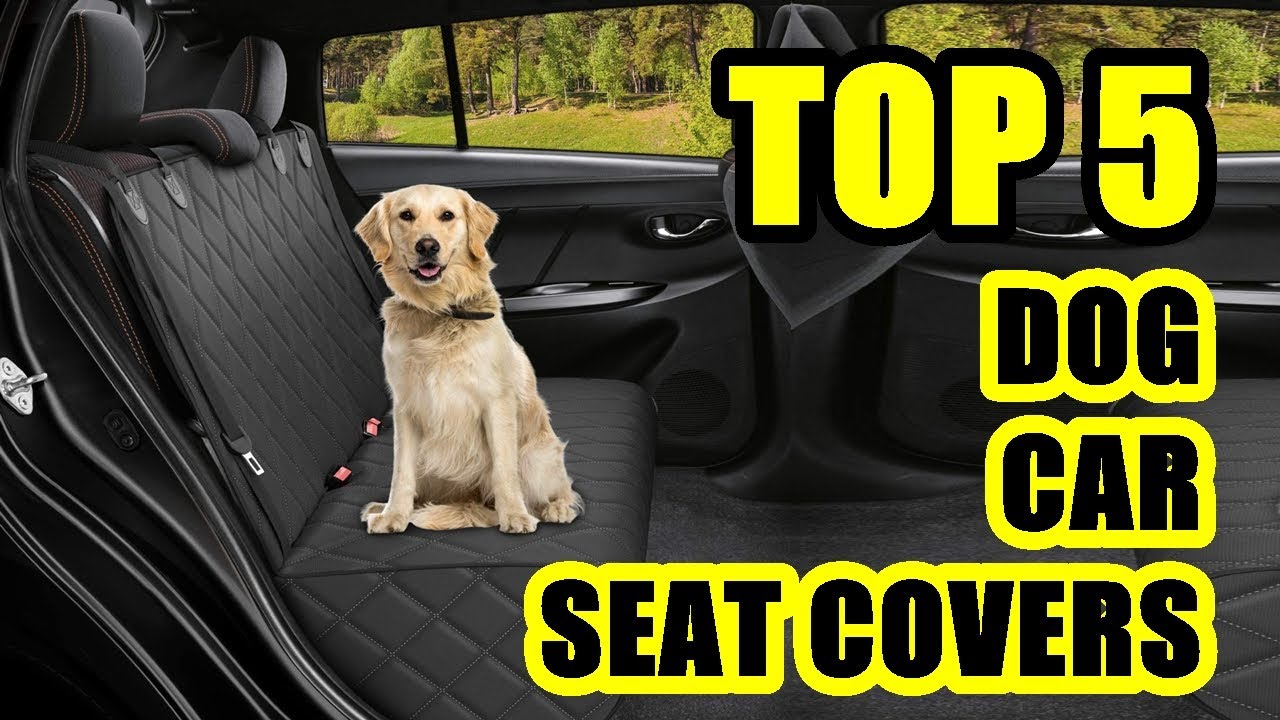 TOP 5  Best Dog Car Seat Cover on Amazon 2021 | Waterproof Pet Cover for Back Seat