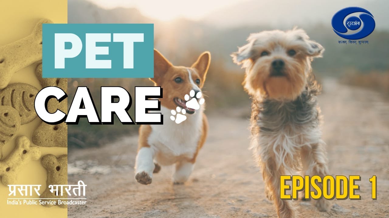 Pet Care  – Ep # 01