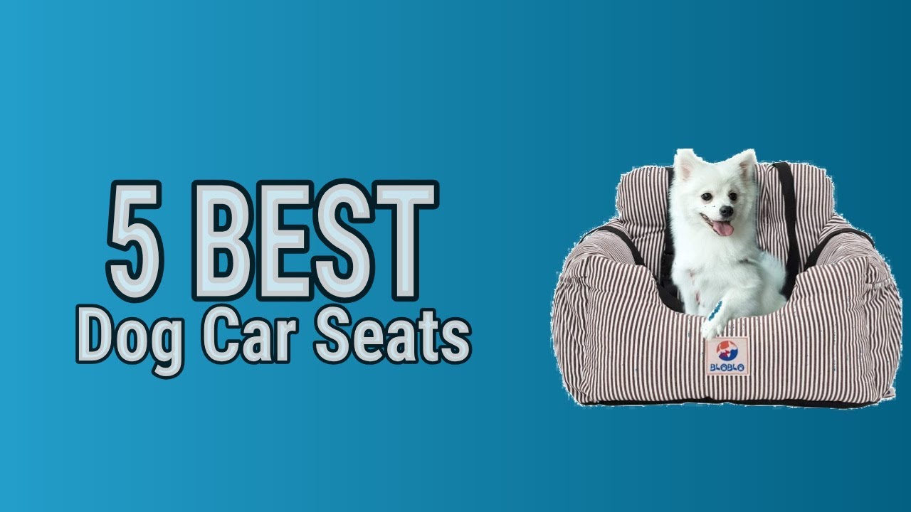 5 Best Dog Car Seats 2021