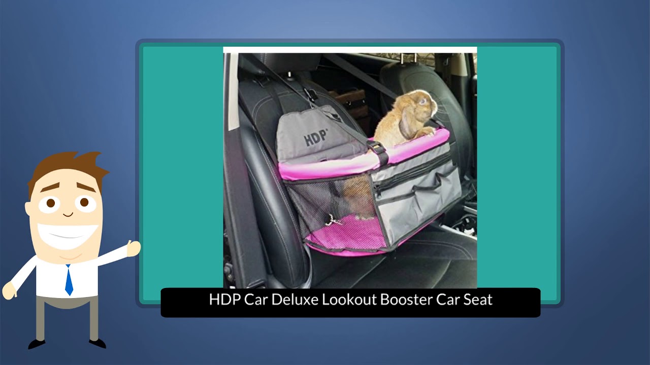 The Top 3 Best Dog Car Seats To Buy In 2018 – Dog Car Seats Reviews