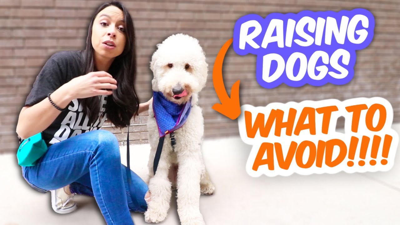 BEST (& WORST) ways to raise a dog, according to experts!  5 dog health tips I SWEAR by!!