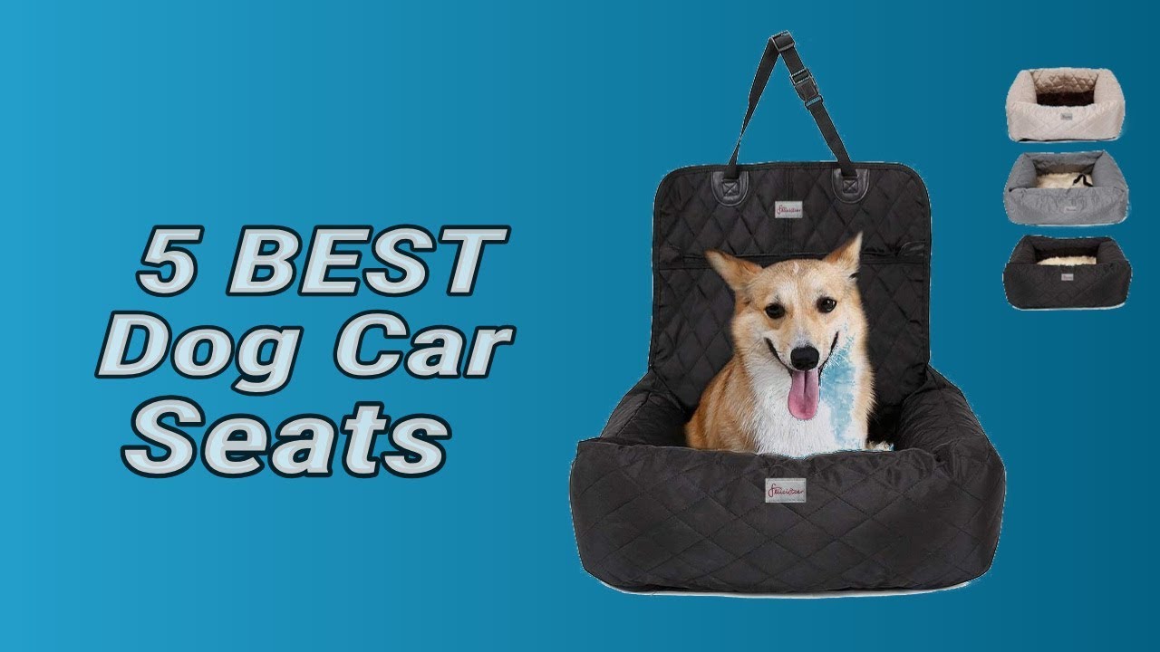 5 Best Dog Car Seats