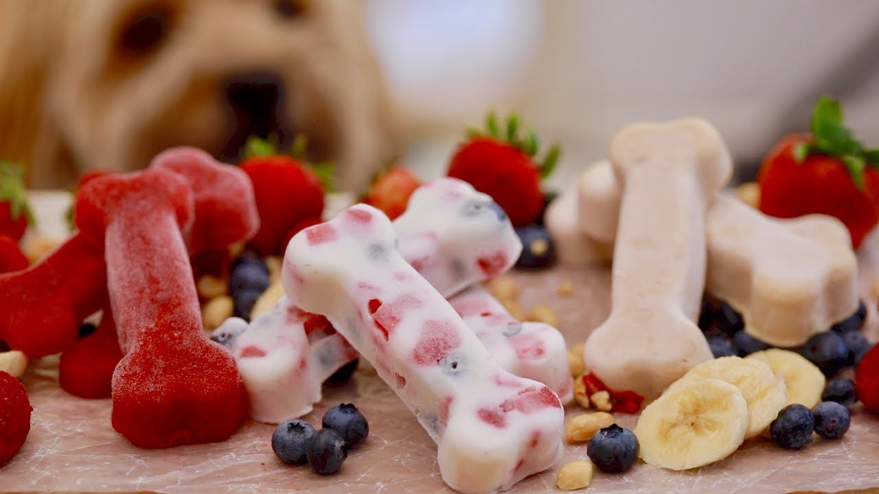 Homemade Dog Treats feat. my Dog, Waffles! ️