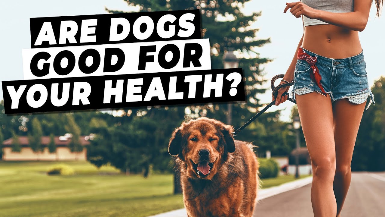 Are Dogs Good For Your Health? (Do Dog Owners Live Longer?!)