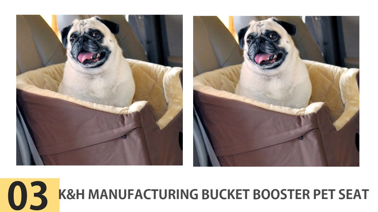 The Top 5 Best Dog Car Seats – Dog Car Seats Reviews