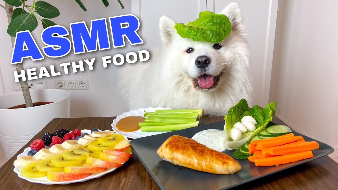 Funny Dog Cooking And Eating Healthy Food (ASMR) I MAYASMR