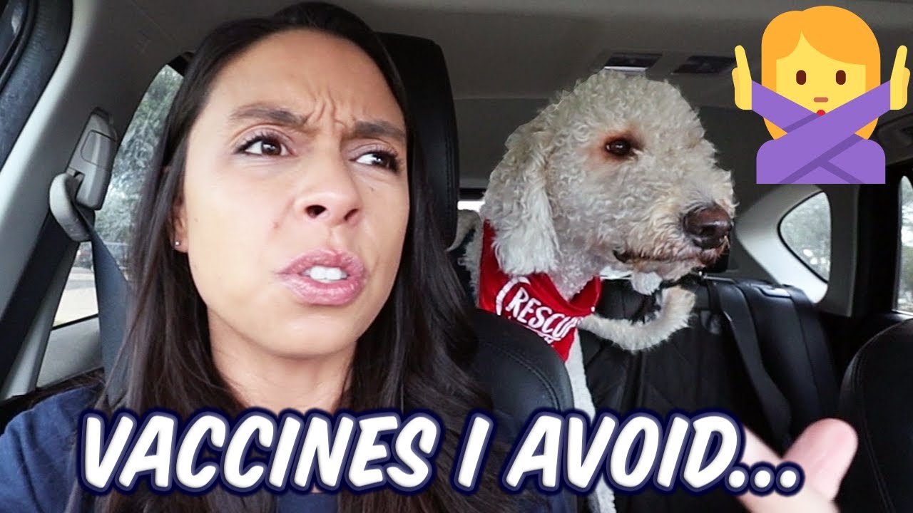 Dog Vaccines I Regret  Car Vaccination Rant!