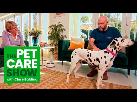 Dog Nutrition: The Best Diet For a Happy Dog. The Pet Care Show with Clare Balding | PETS AT HOME