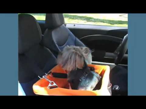 Collapsible Pet Booster Car Seat by Kurgo