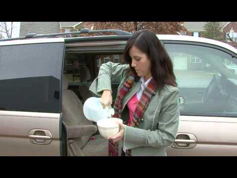 How to Get Rid of Dog Odor in a Car