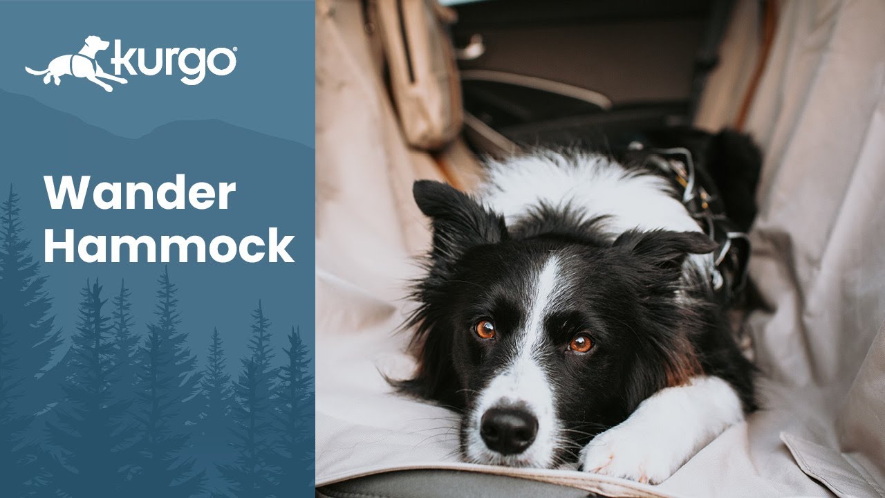 The Wander Hammock | Protect your car seats