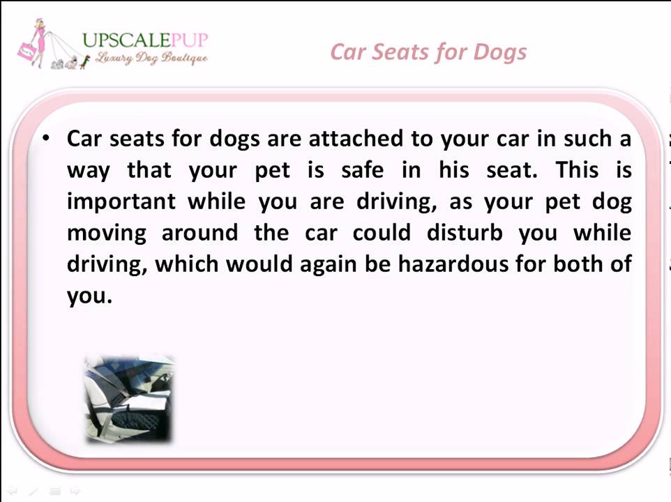 Car Seats for Dogs