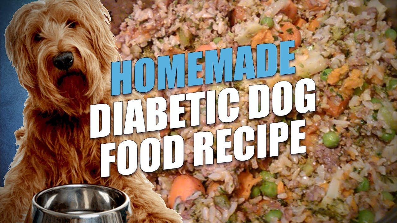 Homemade Diabetic Dog Food Recipe (Cheap and Healthy)