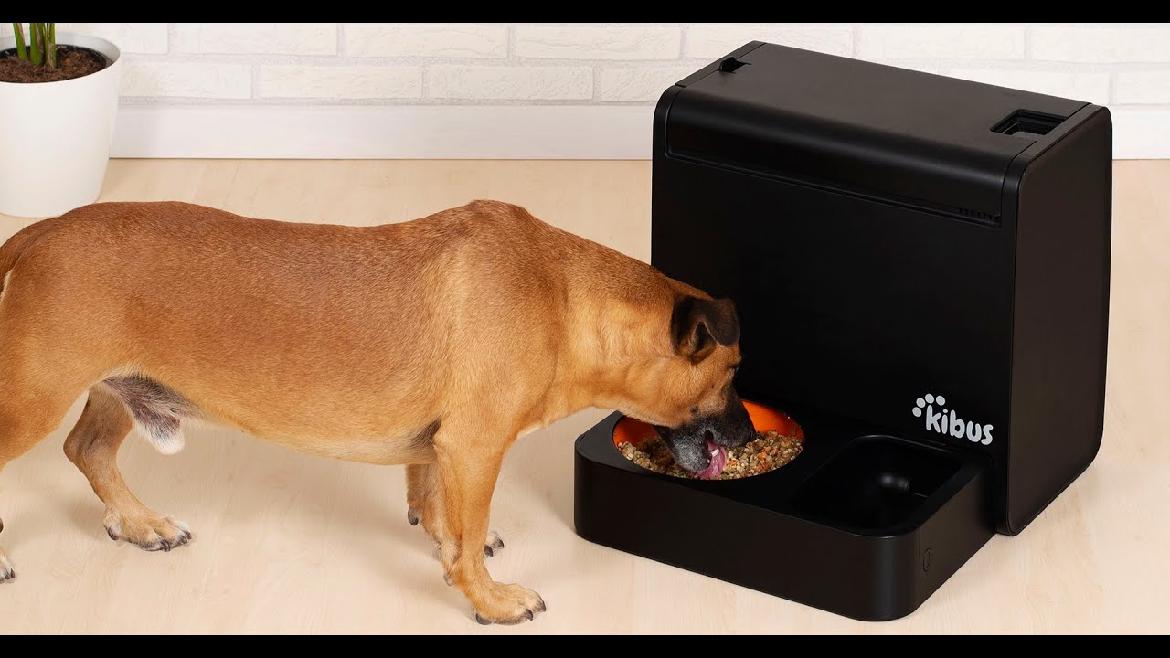 Kibus – Healthy dog food cooking device