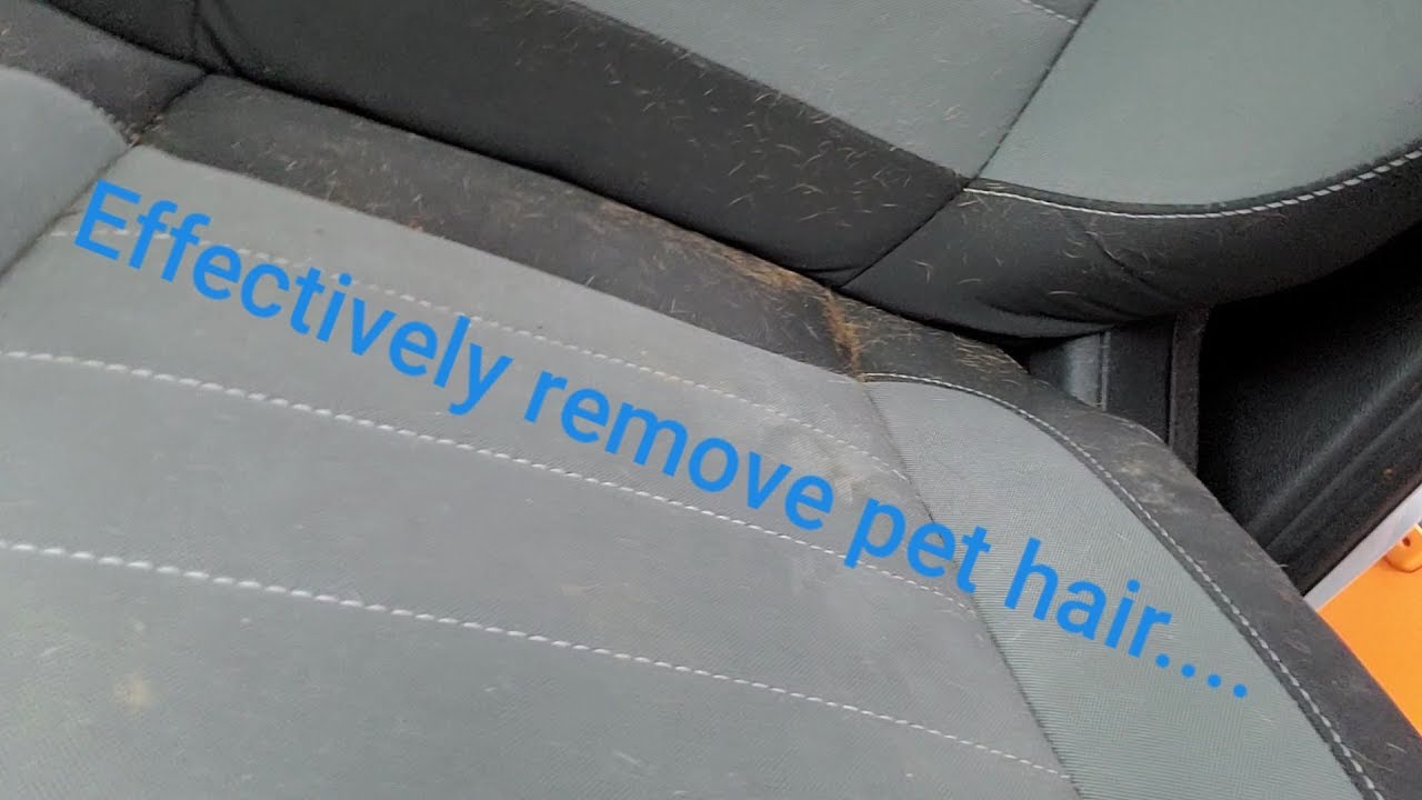 Effectively Remove Pet Hair from Car Seats. It’s that easy………..