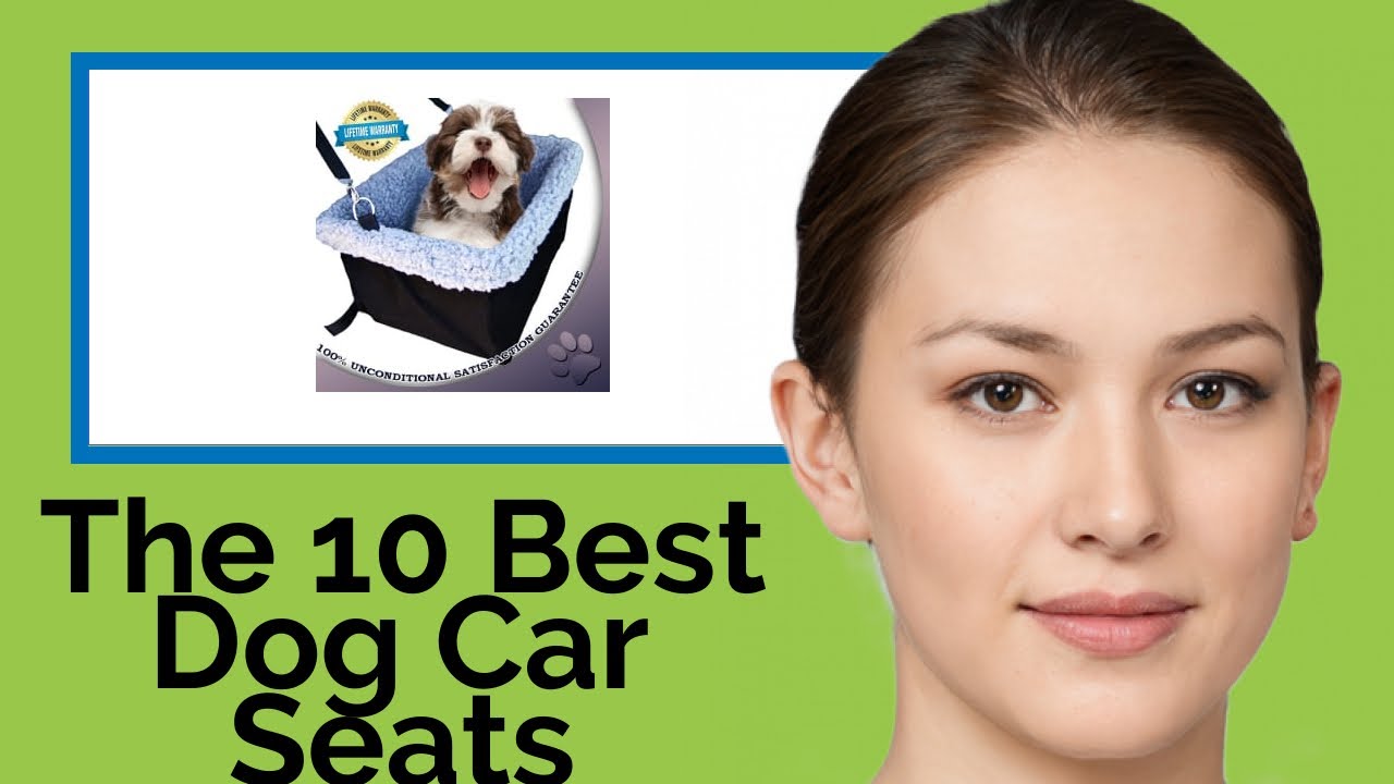 The 10 Best Dog Car Seats 2020  (Review Guide)