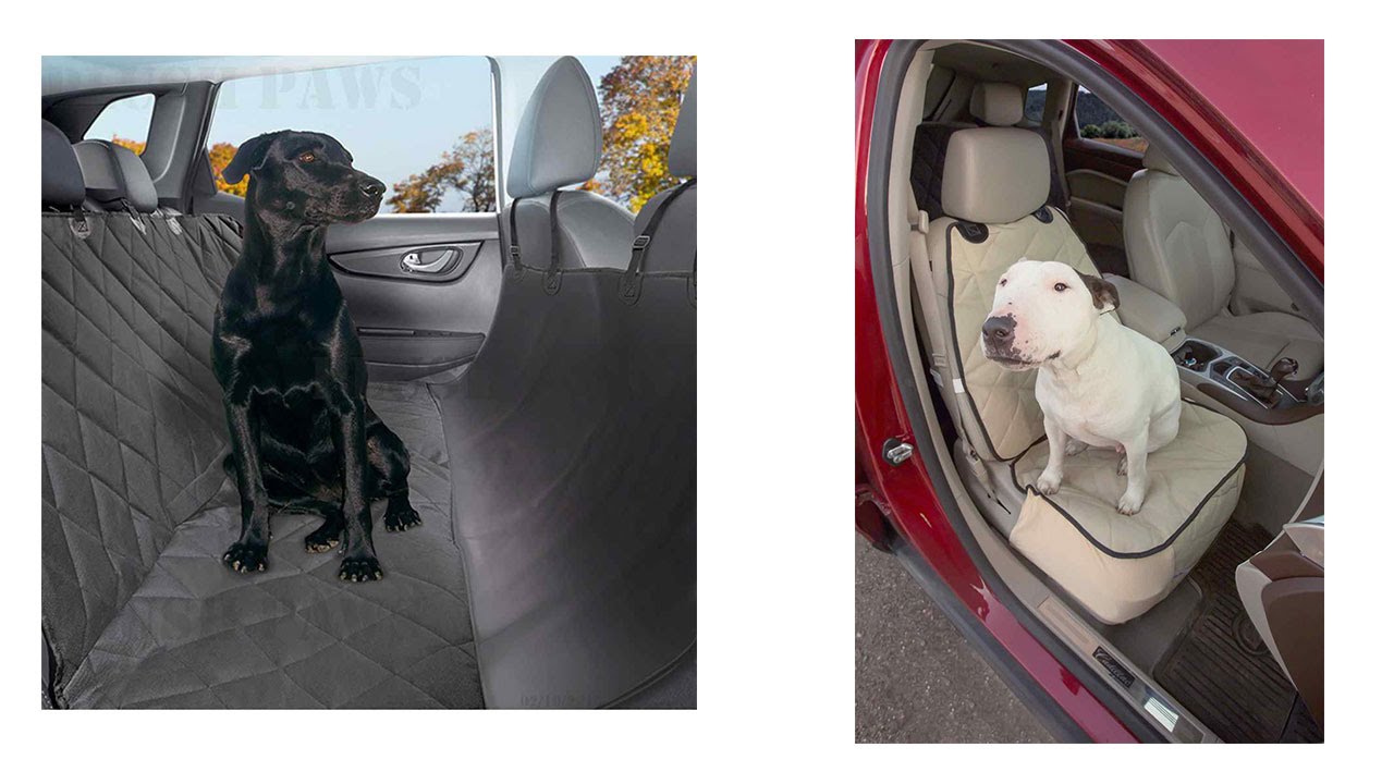 Top 5 Best Dog Car Seats Cover