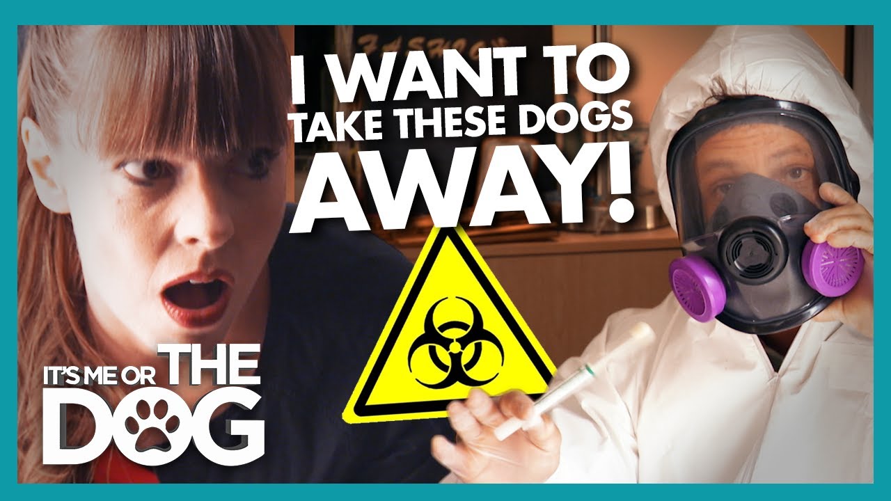 “Worst Dog Owner Ever’ Has Victoria Threatening to Take Pets Away | It’s Me or the Dog