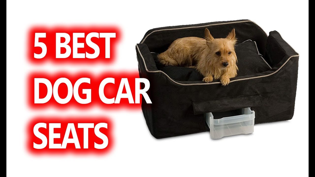 Best Dog Car Seats buy in 2019