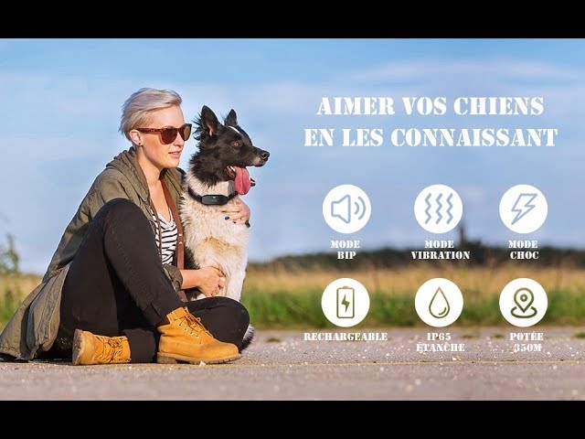 DOG CARE TC05, Collier de Dressage pour Chien, déballage et test