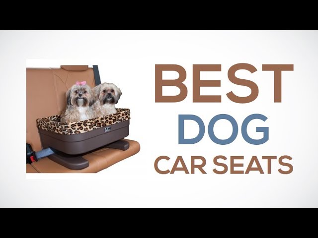 10 Best Dog Car Seats