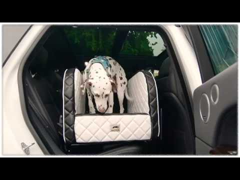 DOGSTYLER® DOG SAFETYBRIDGE Professional – THE solution for your dog on the backseat// Werbung #0059