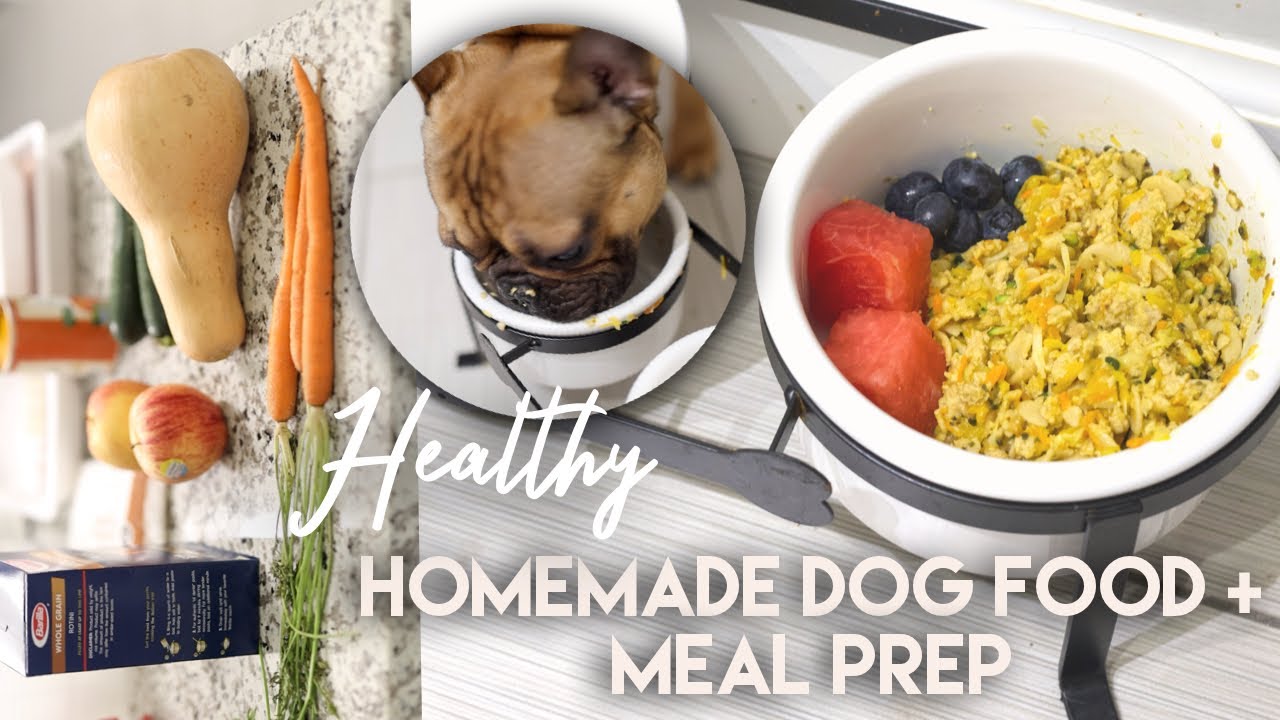 Healthy Homemade Dog Food!