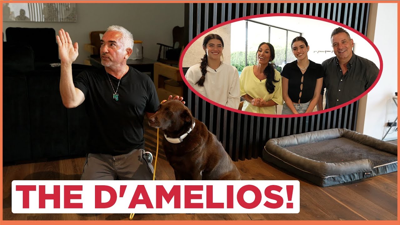 Dog Training Tips with the Charli D’Amelio and The D’Amelio’s (with Cesar Millan!)