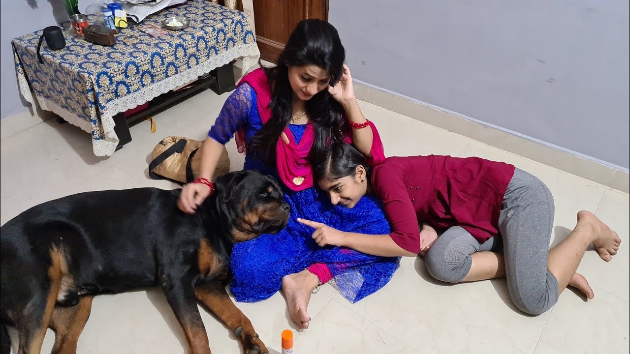 my dog jerry is taking care of my  wife|funny dog videos|rottweiler dog.