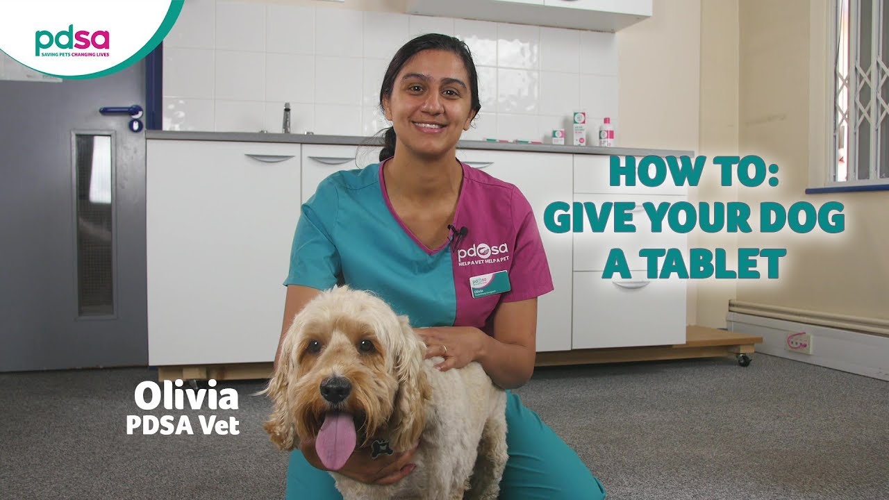 How To Give Your Dog A Tablet: PDSA Petwise Pet Health Hub