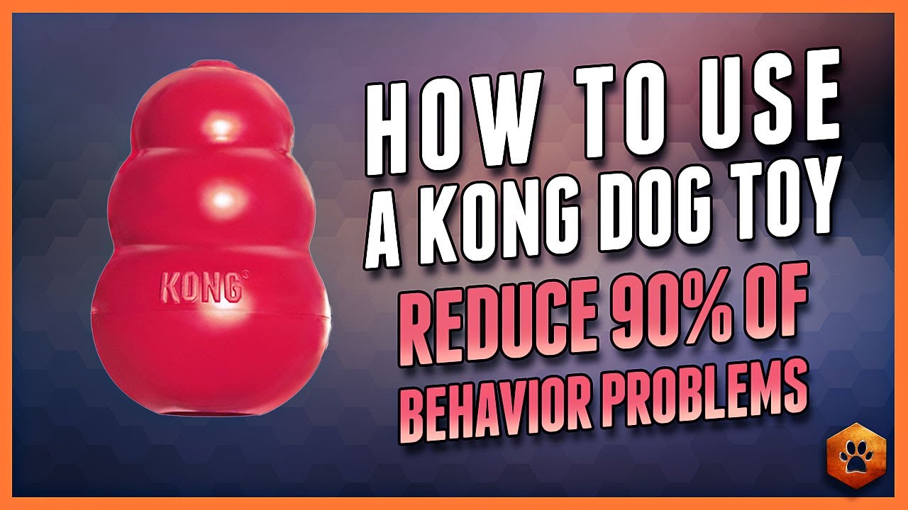 How to Use a Kong Dog Toy – 90% of Behavior Problems Reduced