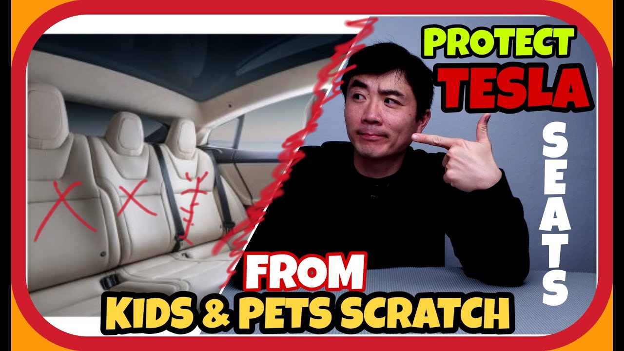 Protect your Tesla Model S 3 X Y back seats from Kids and Pets – YESYEES Waterproof Car Seat Covers