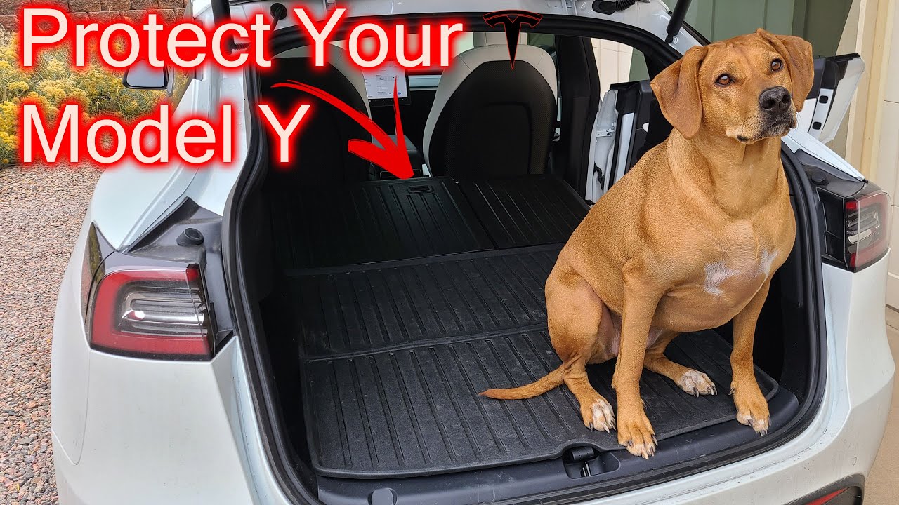 Dog-proofing Our Tesla Model Y – Part 1 Tesmanian Rear Seat Covers!