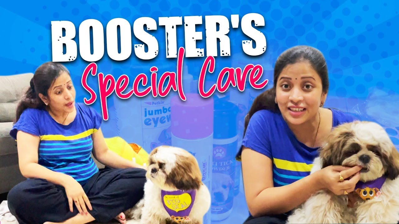 Special Items for My Pet Dog Booster Puppy Grooming| Dog Daycare|Vlog| Booster Prabhanjan