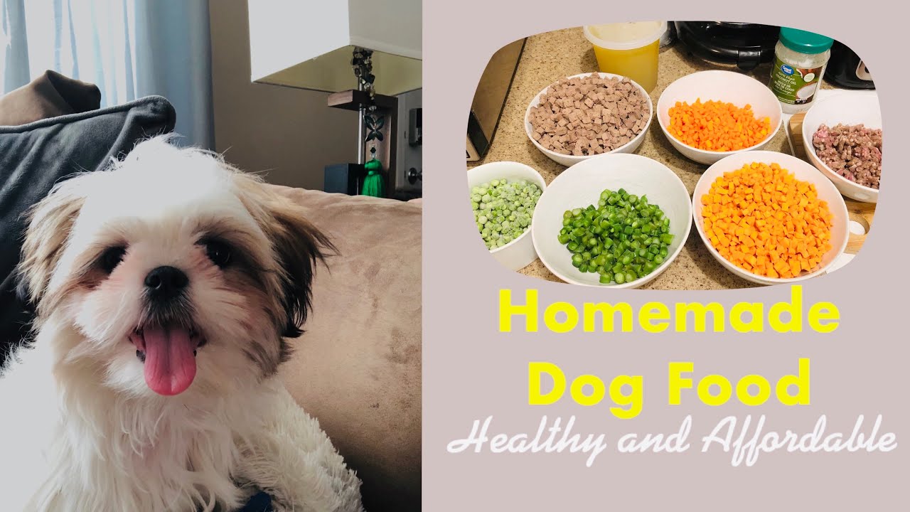 Homemade Dog Food | Shih Tzu Puppy