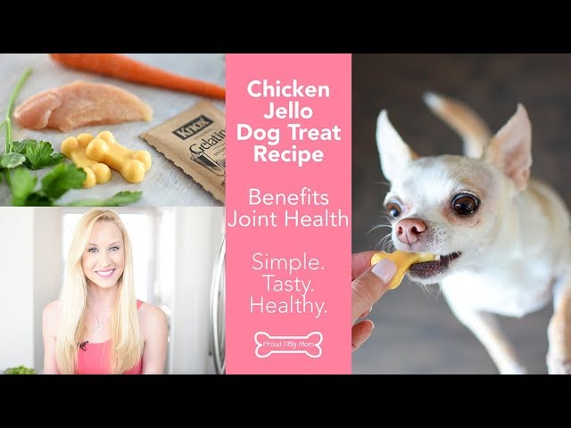 Chicken Jello Dog Treat Recipe (Benefits Joint Health) | Proud Dog Mom