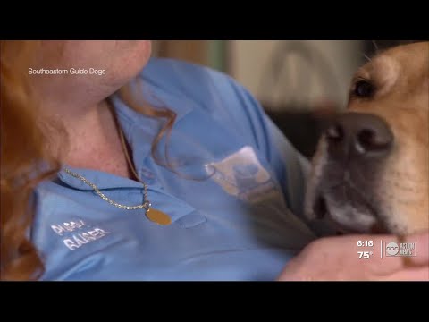 Woman volunteers raising guide dog puppies in honor of her blind father